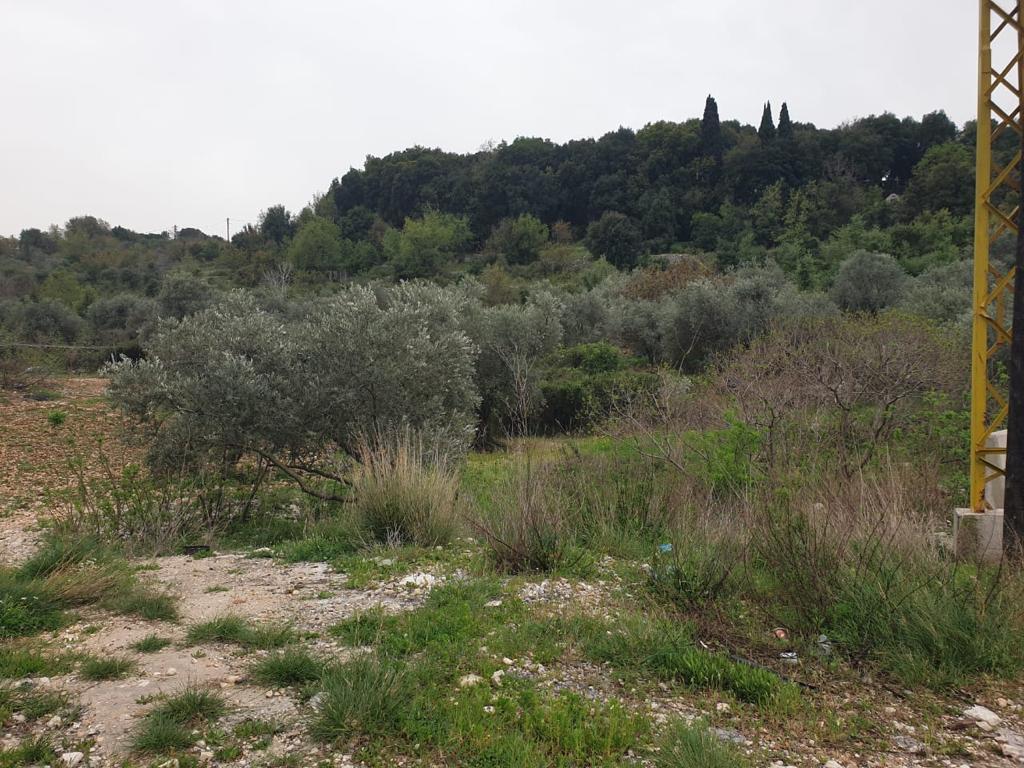 Land for Sale In Kfifane, Batroun JSK Real Estate